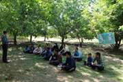 تحول در توانایی تشخیص بیماری آنفلوآنزای پرندگان در ایران حدفاصل سالهای 2011 تا 2018