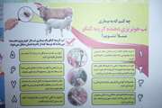 ارائه آموزشهای لازم به دامداران در خحصوص تب کریمه کنگو با مراجعه به روستاها