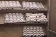 کشف و معدوم سازی 24 کیلوگرم تخم مرغ غیرقابل مصرف در خوشاب