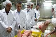بازدید رئیس سازمان دامپزشکی کشور از مجتمع صنعتی گوشت مشهد