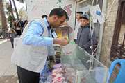 نظارت بهداشتی نوروزی ماهی قرمز در شهرستان گناباد