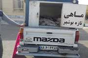 توقیف یک دستگاه خودرو حامل ماهی در گناباد