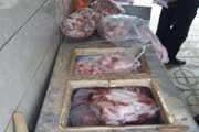 کشف، ضبط و معدوم سازی حدود 100 کیلوگرم گوشت منجمد بدون هویت و غیربهداشتی در روستای ابراهیم آباد شهرستان بردسکن 