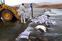 دفن بهداشتی لاشه‌های مرغ رها شده در حاشیه رودخانه گاماسیاب در صحنه