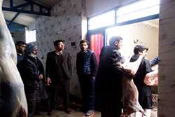 بازدید مدیر شبکه دامپزشکی از کشتارگاه دام باخرز