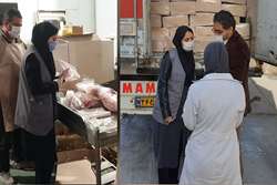 صادرات حدود 50 تن پاچه گاوی از ﺷﻬﺮﺳﺘﺎن بینالود