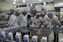 راستی آزمایی آزمایشات 25 مرکز جمع آوری شیر و کارخانجات لبنی در نیشابور