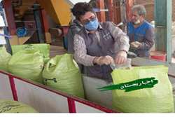 پایش و نمونه برداری از کارخانجات خوراک دام وطیور شهرستان بجستان