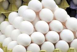 کشف 200کیلوگرم تخم مرغ فاقد نشانه گذاری در شهرستان کاشمر