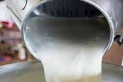 تولید روزانه بیش از 12 تن شیر خام در شهرستان درگز  