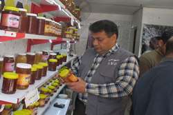 گشت مشترک بازرسی از عسلهای بازار در نیشابور