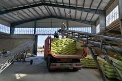 کنترل و ممیزی دامپزشکی شهرستان زاوه بر کیفیت محصولات تولیدی خوراک دام