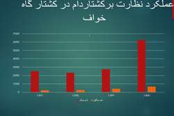 افزایش 100 درصدی میزان کشتار دام طی سال 1400 در کشتار گاه شهرداری خواف به نسبت سال 1399  