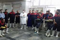 برگزاری کلاس آموزشی آنفلوانزای فوق حاد در کشتارگاه طیور خادم الرضای کاشمر