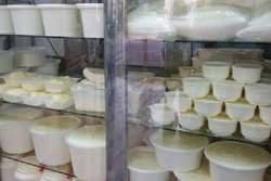 هشدار دامپزشکی طرقبه شاندیز به واحدهای لبنیات سنتی در خصوص عرضه شیر خام و غیر پاستوریزه
