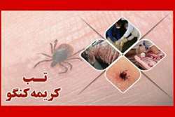جدی بودن خطر بیماری تب کریمه کنگو درکشتارهای غیر مجاز دام در عید قربان 