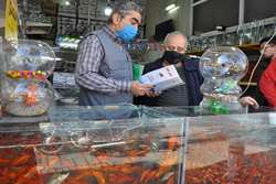 توصیه های بهداشتی شبکه دامپزشکی شهرستان مشهد در خصوص خرید و نگهداری ماهی قرمز شب عید