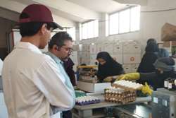 هشدار دامپزشکی طرقبه شاندیز به مراکز بسته بندی تخم مرغ در خصوص رعایت الزامات بهداشتی