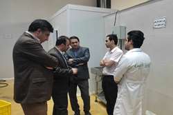 بررسی وضعیت مرغ در سطح شهرستان تربت حیدریه با حضور مدیر جهاد کشاورزی  