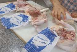 کشف و توقیف بیش از 13 تن مرغ منجمد تخمگذار غیربهداشتی در مشهد