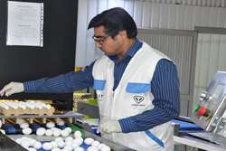 تجهیز و آماده باش اکیپ های نظارتی شبکه دامپزشکی مشهد در ایام گرامیداشت هفته دولت و دهه آخر صفر 