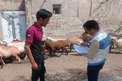 بازدید میدانی از عملکرد واکسیناسیون بخش خصوصی  مه ولات  