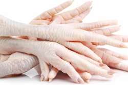 صادرات 245 تن پای و پنجه مرغ از مبدا طرقبه شاندیز به کشور های ویتنام و مالزی