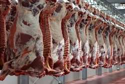 تاکید دامپزشکی سبزوار بر لزوم خرید گوشت مورد نیاز از مراکز مجاز تحت نظارت بهداشتی دامپزشکی