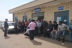 برگزاری بیش از 3 هزار نفر ساعت کلاس آموزشی برای دامداران و بهره بردارن سبزوار