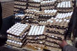 کشف و توقیف ۴۶۰ کیلوگرم تخم‌مرغ غیر بهداشتی در سبزوار با حضور نماینده دادستان