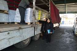 نظارت بر صادرات بیش از 25 تن مکمل ویتامینه به کشور افغانستان