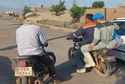  روایت یک روز همراهی با گروه واکسیناسیون دامپزشکی سبزوار