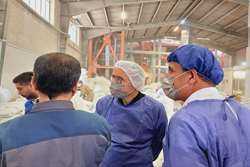 بازدید سرزده معاون وزیر و رئیس سازمان دامپزشکی کشور از مجموعه آزمایشگاه و کارخانه خوراک دام در شهرک صنعتی توس خراسان رضوی