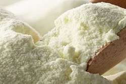 نظارت بهداشتی دامپزشکی سبزوار بر صادرات ۲۰ تن شیر خشک تولیدی شهرستان به گرجستان 