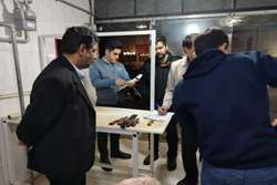 انجام گشت های مشترک با حضور نمایندگان دامپزشکی، فرمانداری، صمت، جهاد کشاورزی و اتاق اصناف