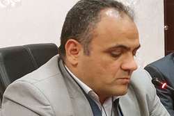 فعالان حوزه حمل دام و طیور باید شستشو و ضدعفونی خودرو را جدی بگیرند