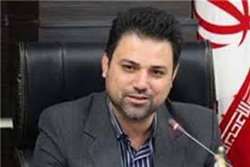 دامپزشکی البرز ۵۰۰۰۰ مرغ را در اشتهارد معدوم کرد