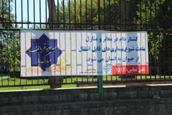 شبکه دامپزشکی شهرستان مشهد به عزاداران و سوگواران حسینی هشدار داد