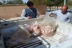 ضبط و معدوم سازی 81 کیلو گرم گوشت مرغ  و آلایشات غیر قابل مصرف در شهرستان خوشاب 