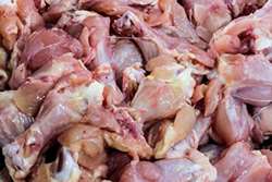 کشف و معدوم سازی 270 کیلوگرم آلایش مرغ در کشتارگاه طیور شهرستان تربت حیدریه