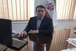 معدوم سازی  یک راس گاو بدلیل ذبح غیر شرعی در ایام تاسوعا و عاشورا