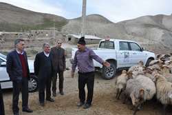 بازدید سرزده مدیرکل دامپزشکی استان خراسان رضوی و سرپرست فرمانداری شهرستان مشهد از مناطق عشایری