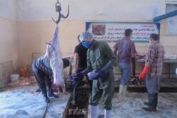 بازرسی بهداشتی عید قربان 99 در گناباد