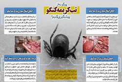 مواظب بیماری خطرناک تب کریمه کنگو باشیم
