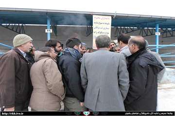 12 آذرماه رخ داد؛ بازدید سرزده مدیر کل دامپزشکی خراسان رضوی از بازار دام سنگین مشهد