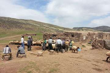 13 خرداد ماه، واکسیناسیون تب برفکی و توزیع رایگان سم در بین عشایر قوچان و درگز ساکن در هزار مسجد