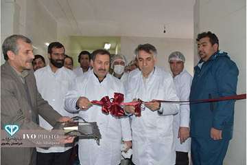 افتتاح خط 2 کشتارگاه سپیدگوشت فریمان با حضور مدیر کل و فرماندار فرمان بمناسبت دهه فجر