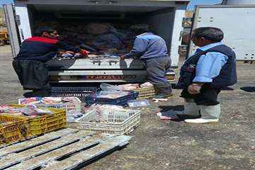 12 شهریور ماه؛کشف و معدوم سازی بیش از 6  تن فرآورده خام دامی غیر بهداشتی در مشهد 