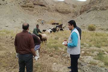 4 آذر ماه؛ عملیات نمونه برداری و بررسی علت سقط جنین دامهای کلات توسط کارشناس اداره کل دامپزشکی و شبک