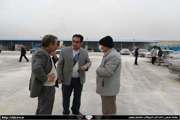 12 آذرماه رخ داد؛ بازدید سرزده مدیر کل دامپزشکی خراسان رضوی از بازار دام سنگین مشهد